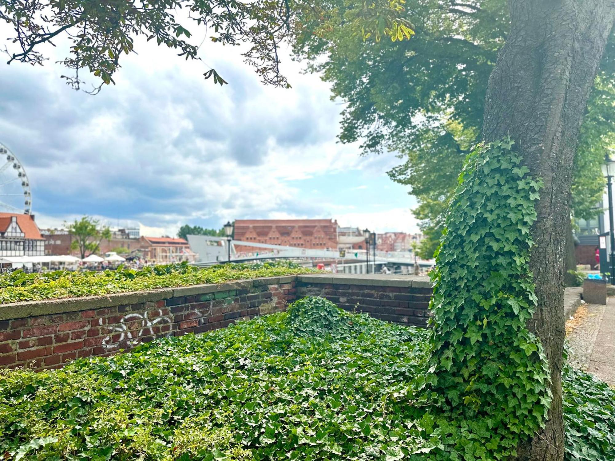 Mmrent Rose Room Gdaňsk Exteriér fotografie